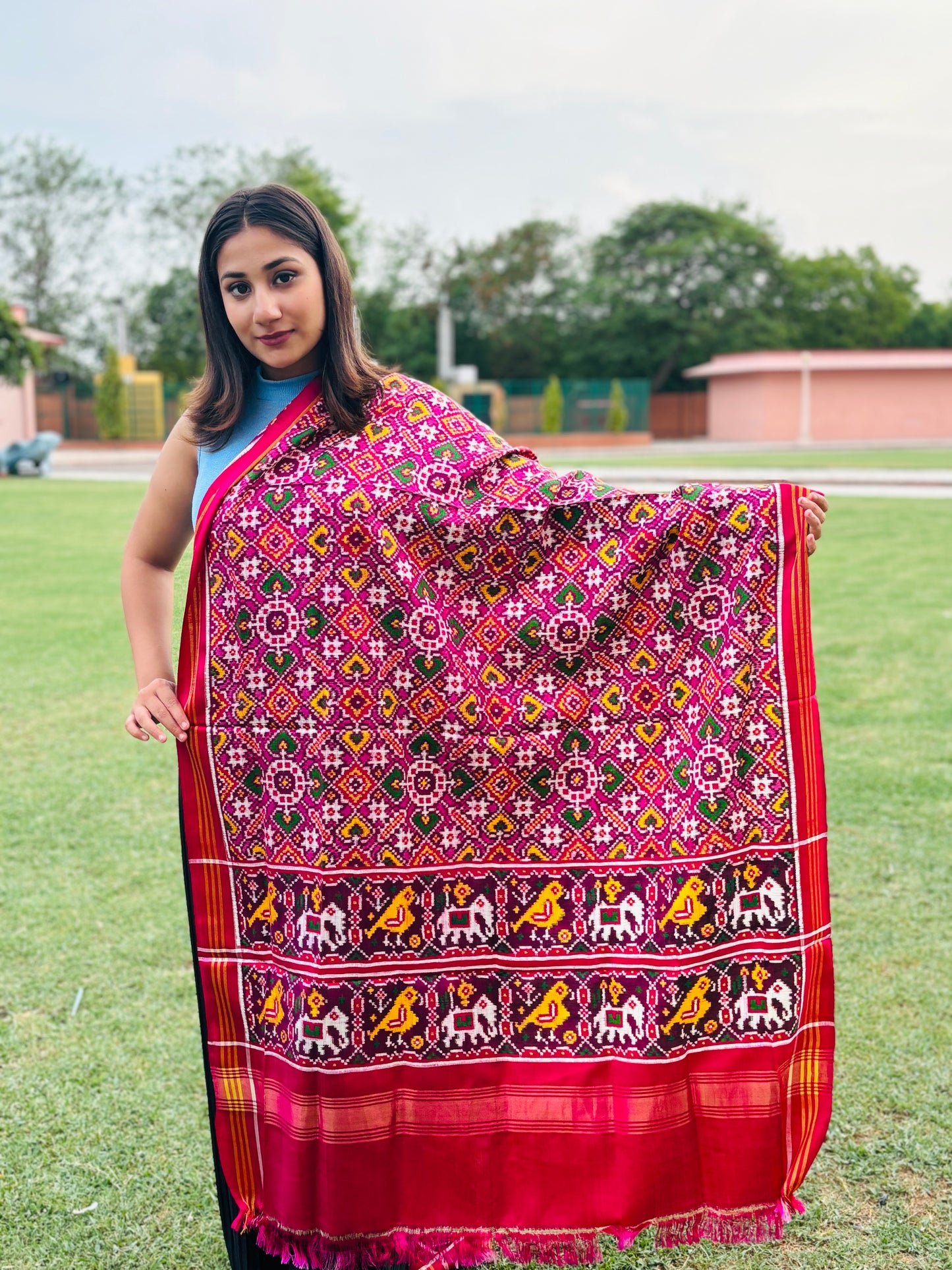 Light RED Patola Dupatta