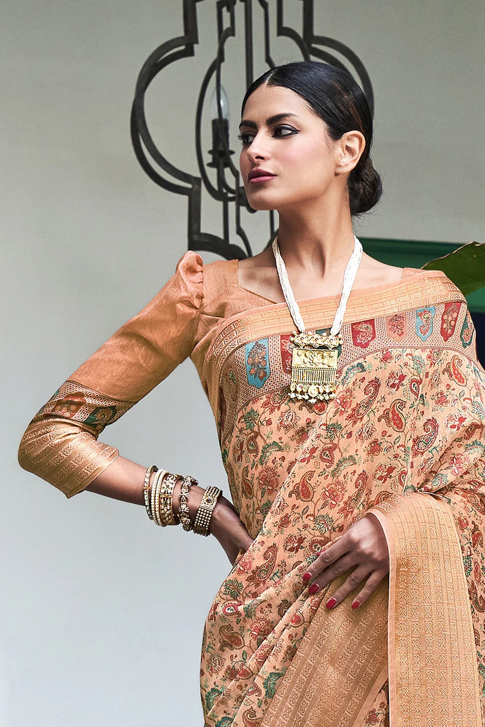 Bronze Brown Digital Printed Saree
